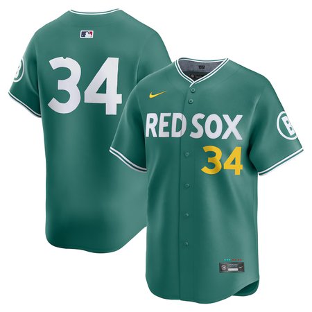 Men's Boston Red Sox #34 David Ortiz Nike Green 2025 City Connect Limited Retired Player Jersey