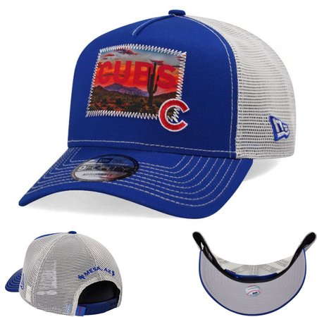 Chicago Cubs Adjustable Hat